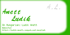anett ludik business card